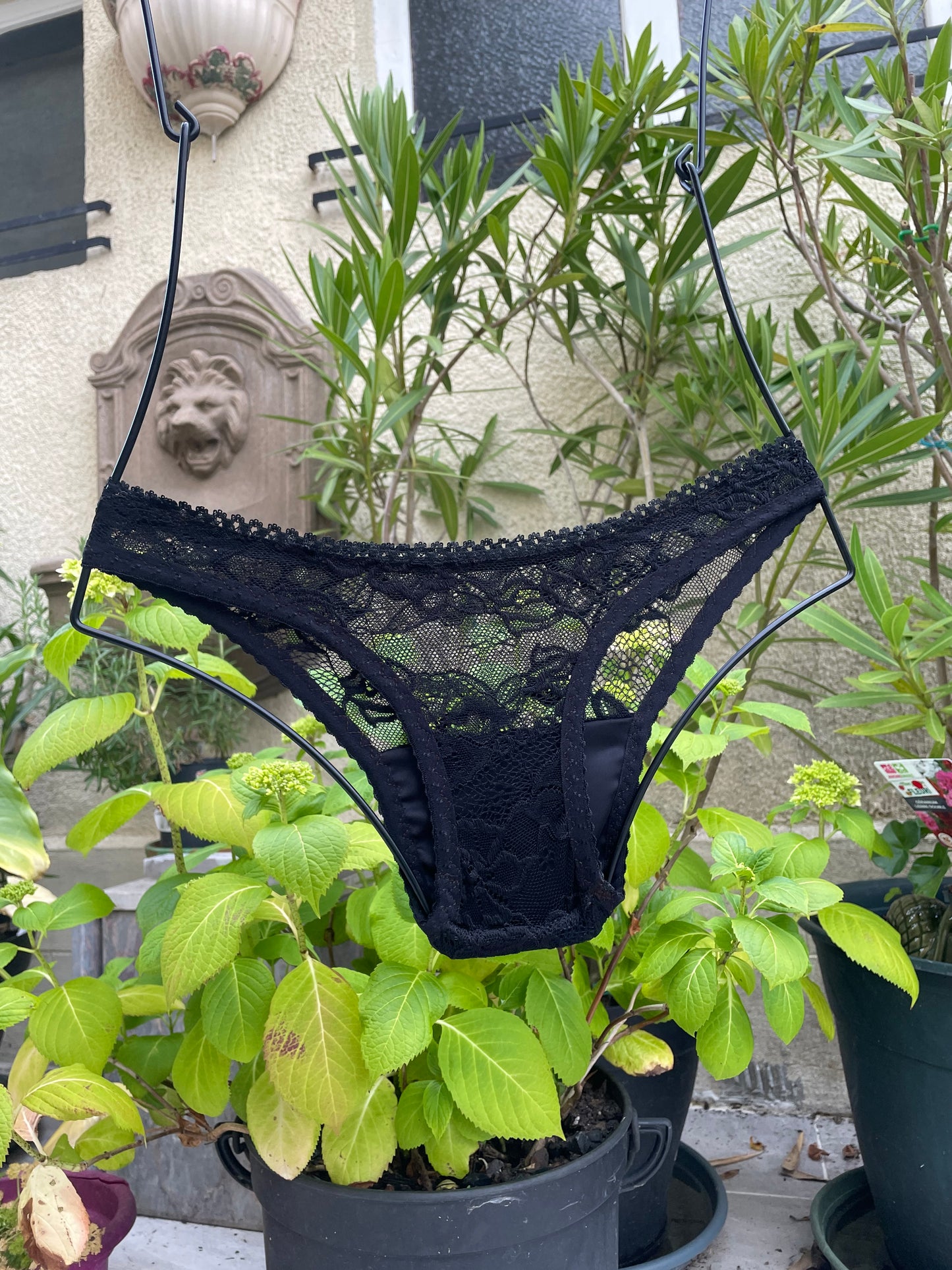 String Tuck Dentelle