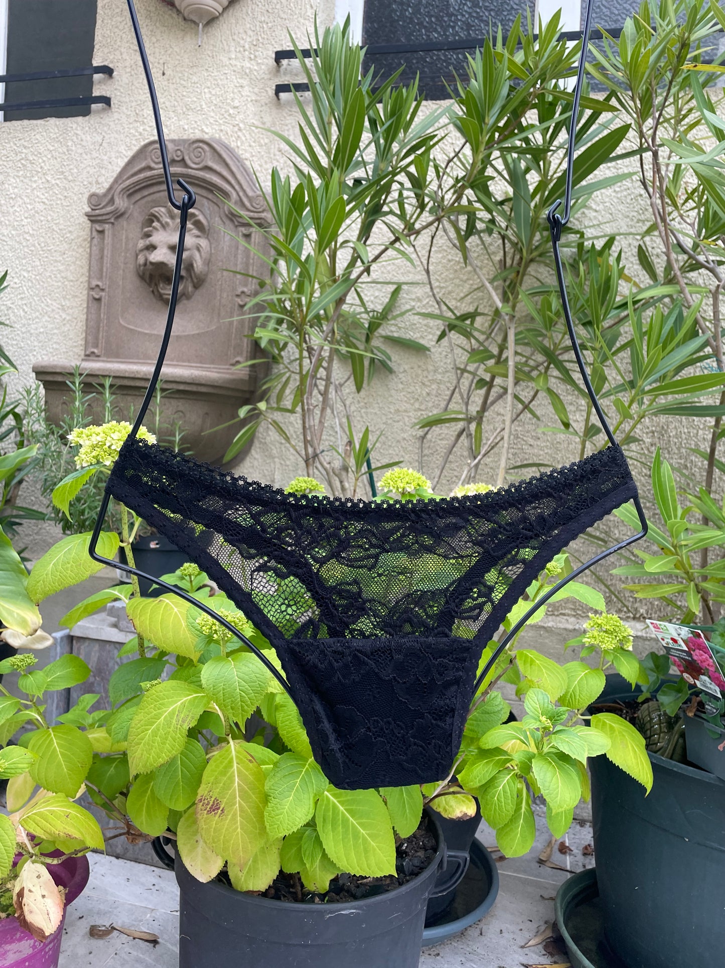 String Tuck Dentelle